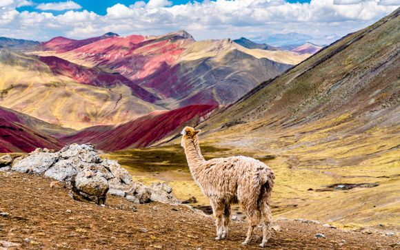 Optional excursions and extras