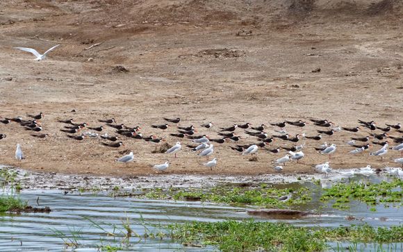 Your itinerary in detail