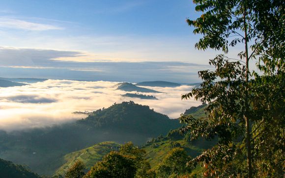 Your itinerary in detail