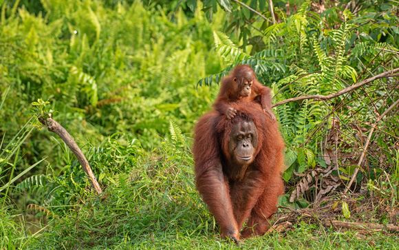 Your itinerary in brief