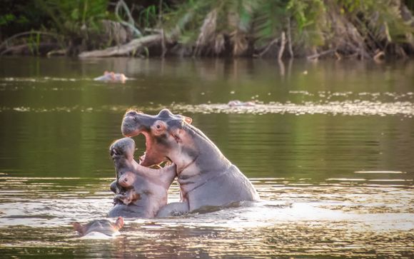 Your itinerary in detail