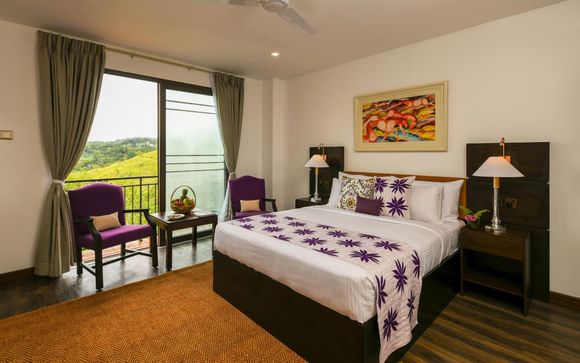 Your hotels