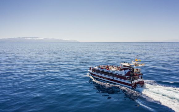 Your optional excursions & extras