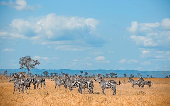 Your included excursions & extras