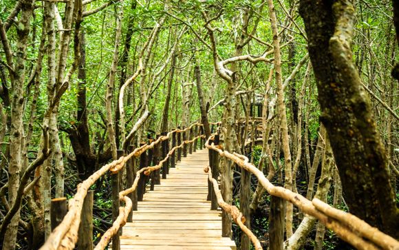 Your optional services