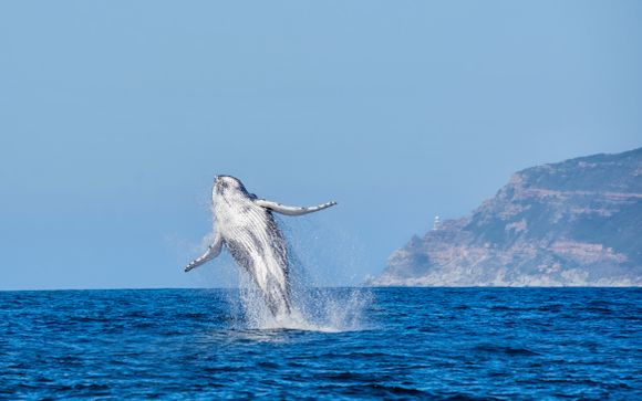 7 night stay (in addition to the above mentioned excursions)
