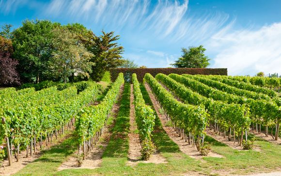 Destination...Burgundy