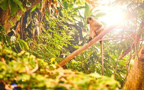 Destination...South Africa