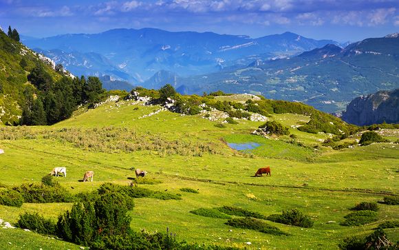 Destination...Spanish Pyreenes