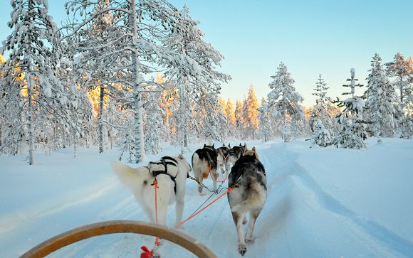 Lapland Adventure with Winter Safaris