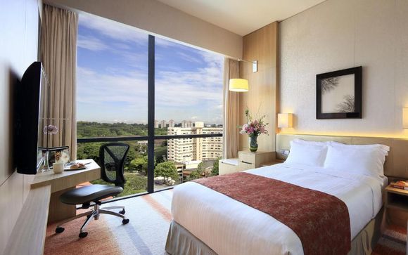 Your Accommodation