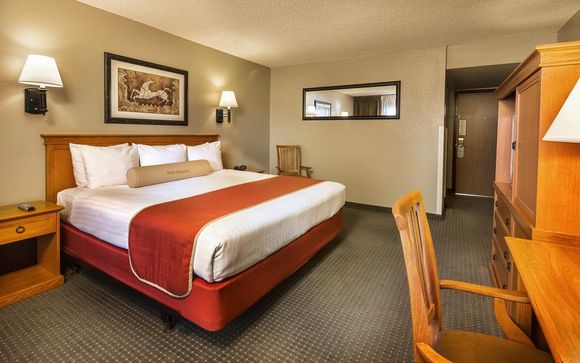 Your Hotels