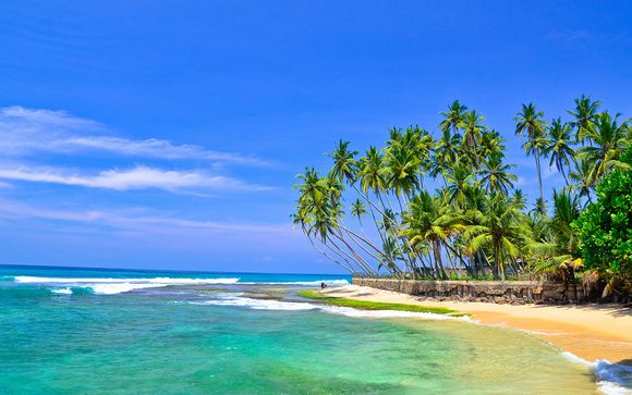 Luxury Private Tour of Sri Lanka in 5* Hotels