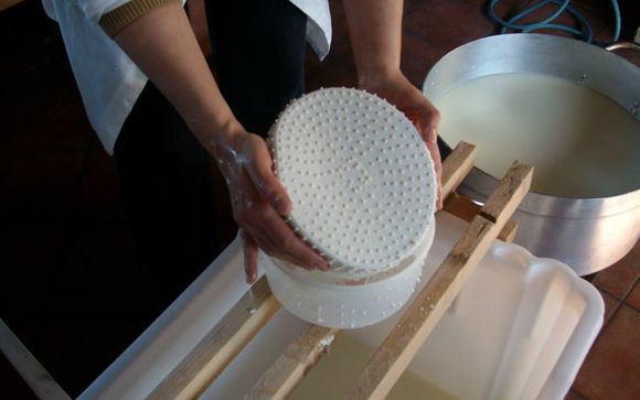 Your Included Excursions