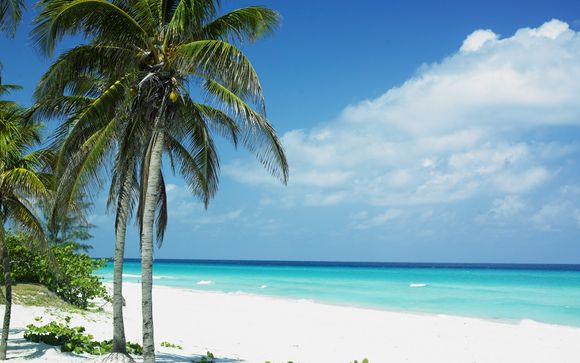Homestay Havana & Melia Buenavista Cayo Santa Maria 5*