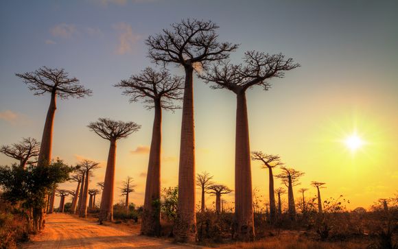 Madagascar Tour