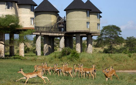 Safari