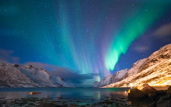 Northern Lights Special