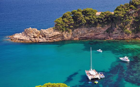 Sunny Oasis in Charming Beachside Town