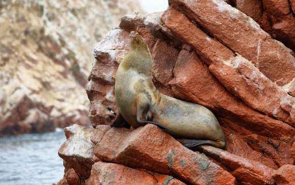 Your 14 Night Itinerary