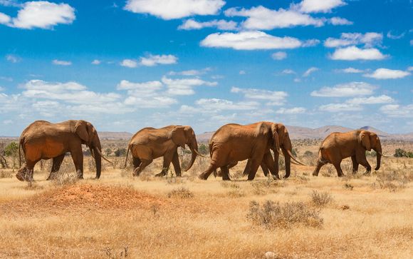 Serena Beach Escape With Optional Safari
