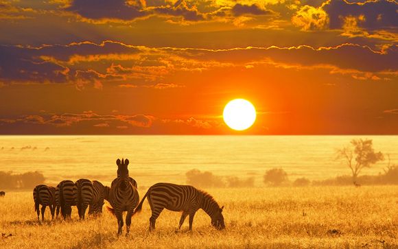 Your 10-Night Itinerary