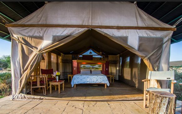 Safari Accommodation