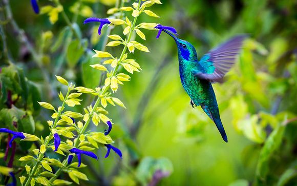 Your 7-Night Itinerary