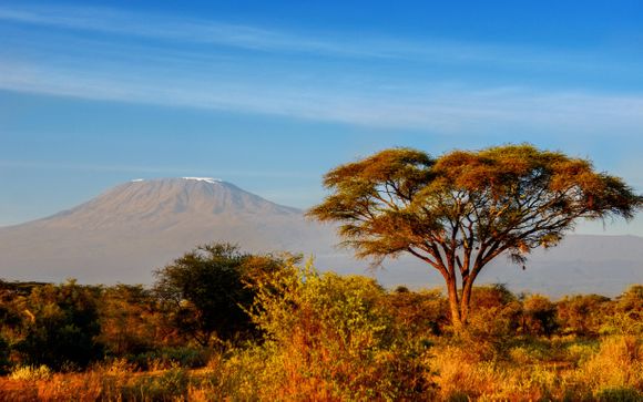 Your Safari Itinerary (with Offer 1 Only)