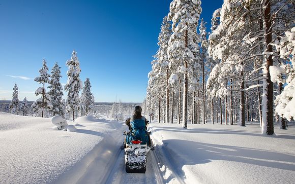 Finnish Lapland: Arctic Circle & Snow Safaris