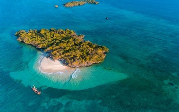 Your Optional Excursions