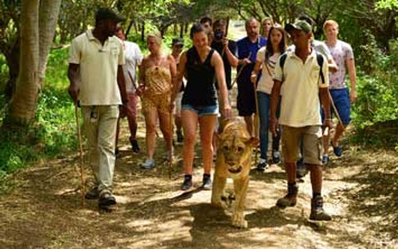 Cape Bay Beach Resort