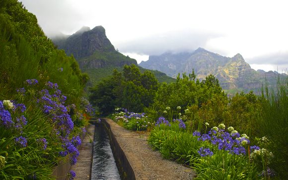 Your Optional Excursions