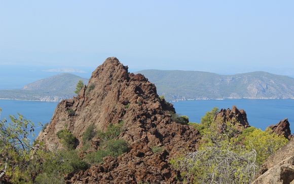 Your Cruise Itinerary