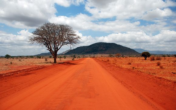 Your Optional Safari