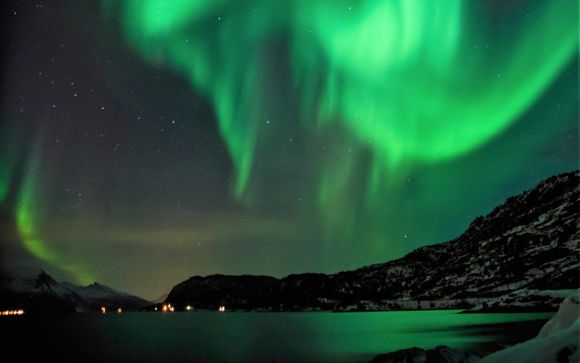 Arctic Experience