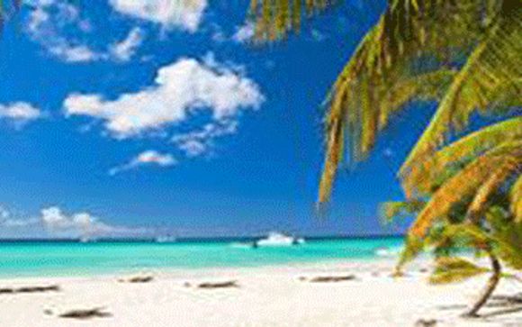 Your Optional Excursions