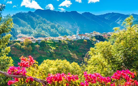 Your Optional Excursions