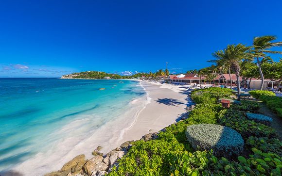 Discover Antigua and her Islands