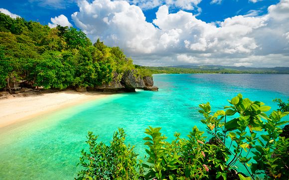 Private Tour in the Heart of the Visayas