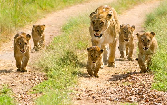 Your Safari Itinerary