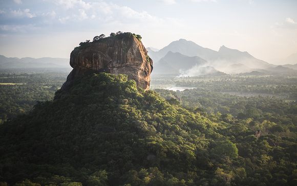 Immersive Wildlife Tour and Blissful Beach Stay
