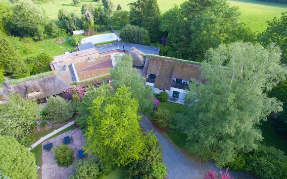 Le Petit Coq Aux Champs 4*