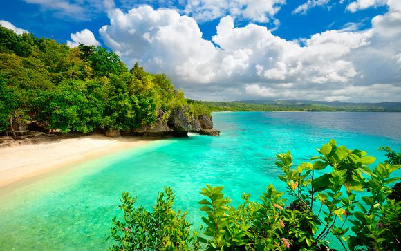 Scenic Tour and Heavenly Beach Bliss