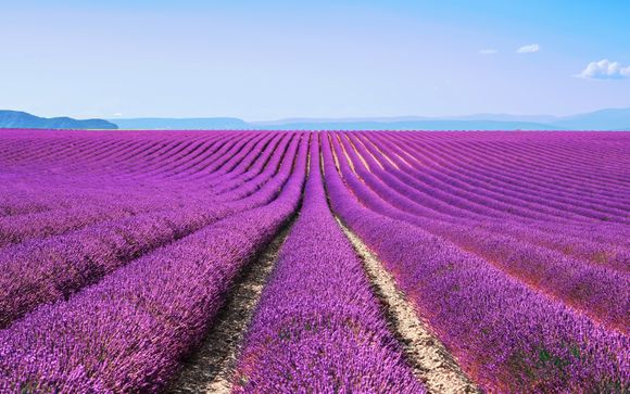 Piscine Pont Royal Mallemort Tarif Avis Village Pierre Vacances Pont Royal En Provence Mallemort Voyage Prive