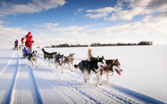 Husky sledding near cheap me