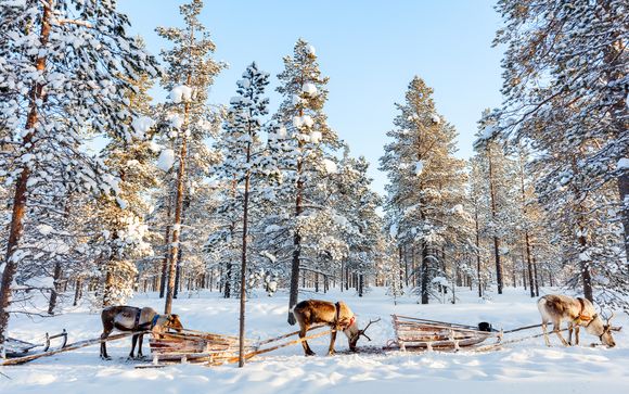 Avventura incantata nella terra di Babbo Natale e incontro con le renne in mezza pensione