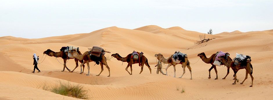 Urlaub in Tunesien