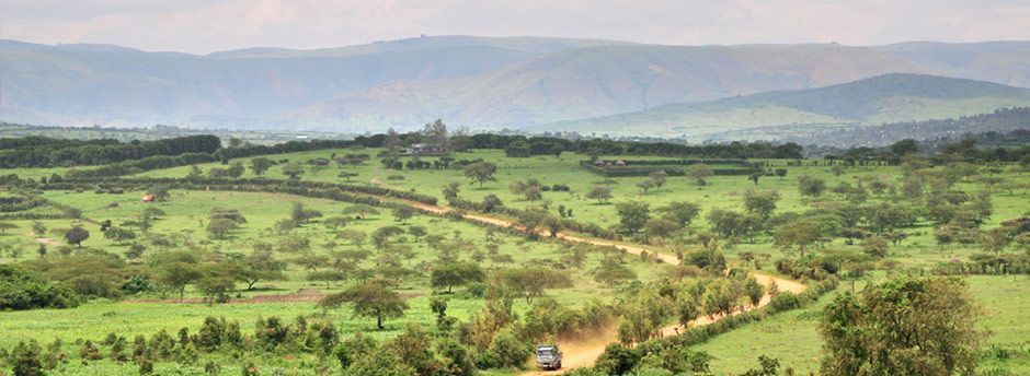 Voyage au Rwanda