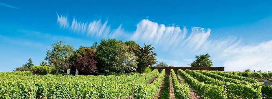 Week-ends en Champagne Ardennes